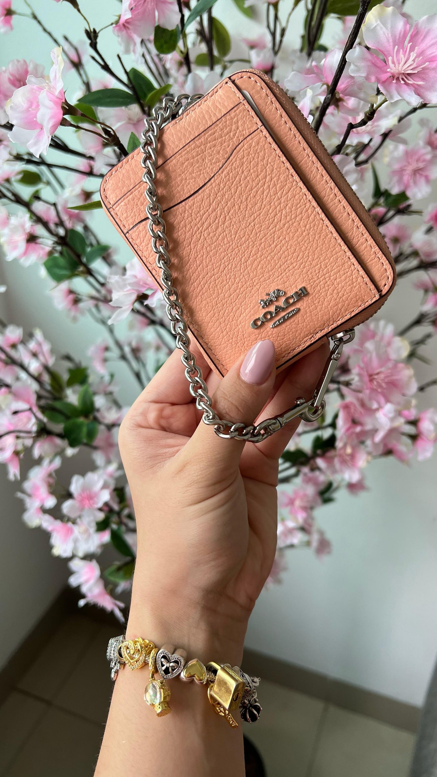 Card Case Peach tarjetero Durazno