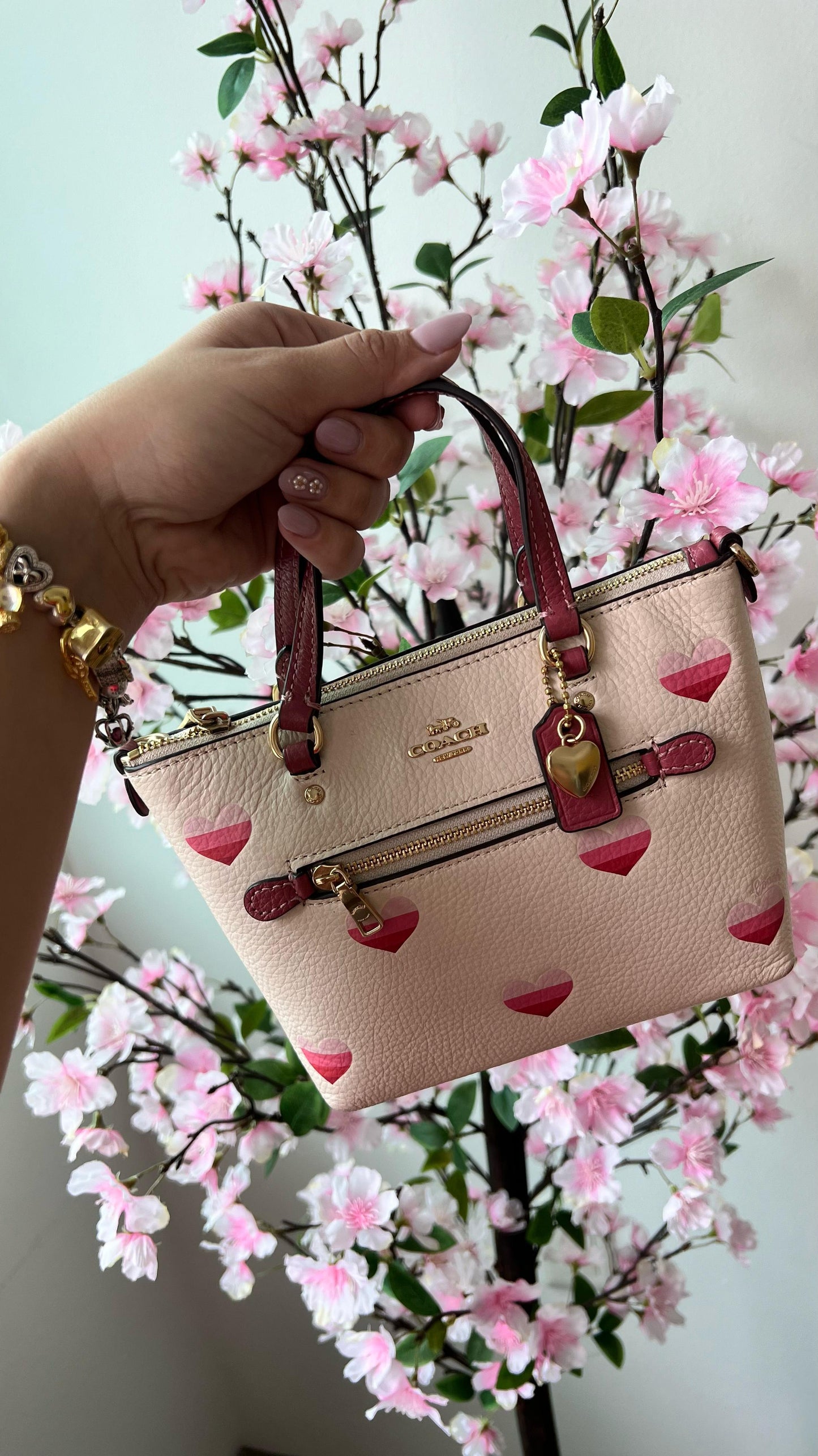 Coach Mini CrossBody Hearts