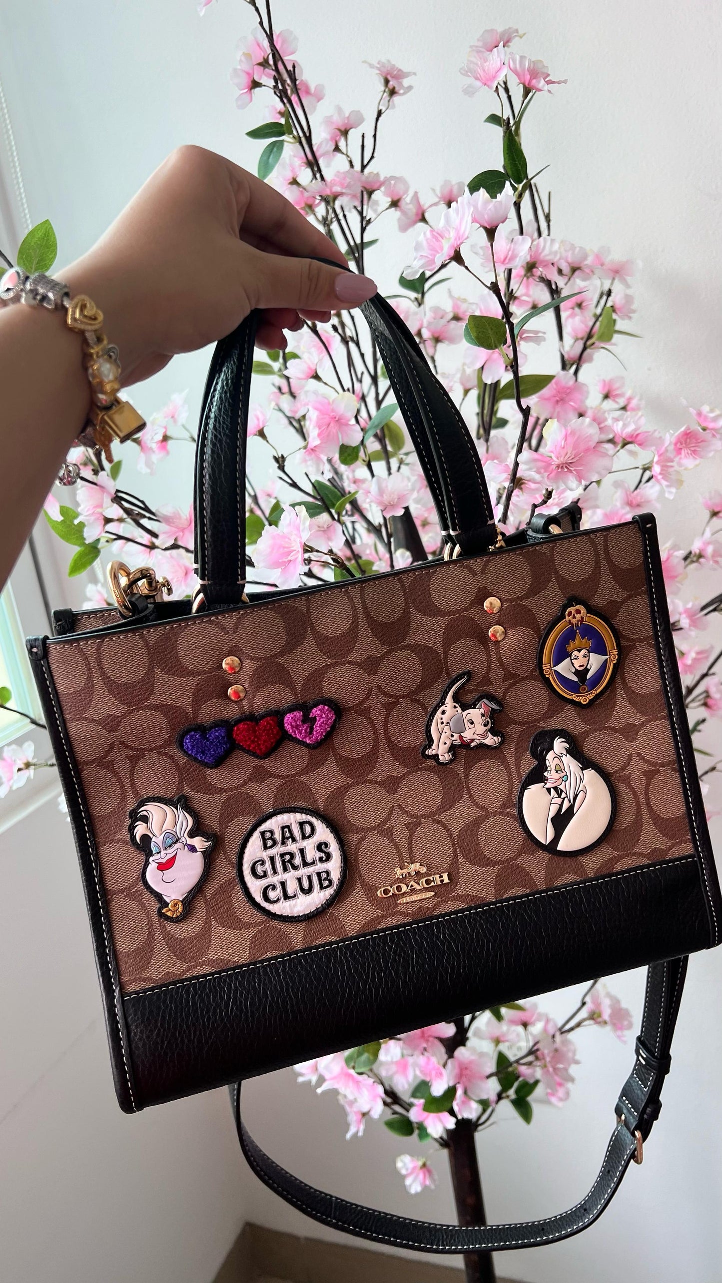 Coach Disney Tote Canvas