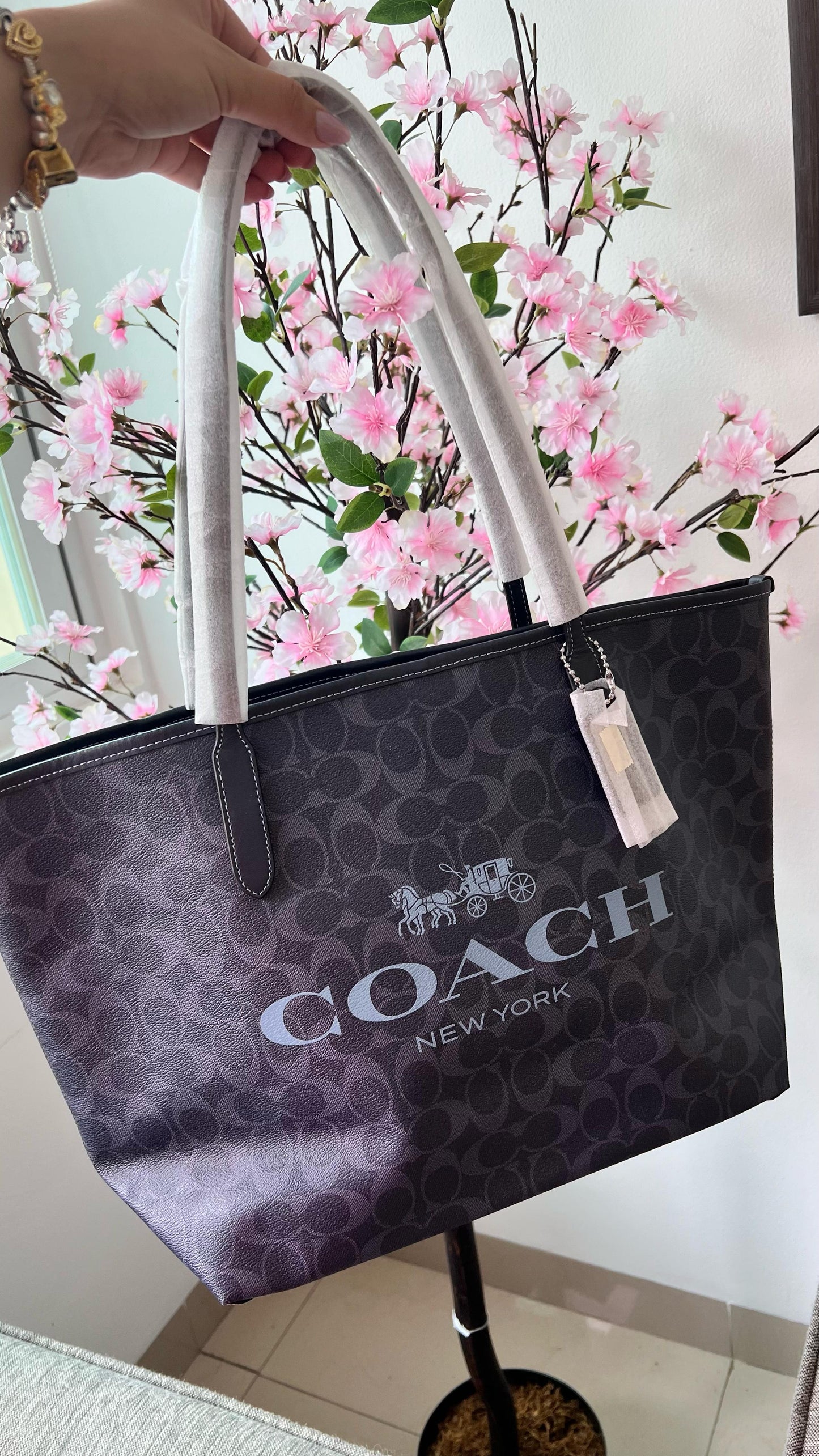 Coach Tote Signature Negra con Azul Bolsa