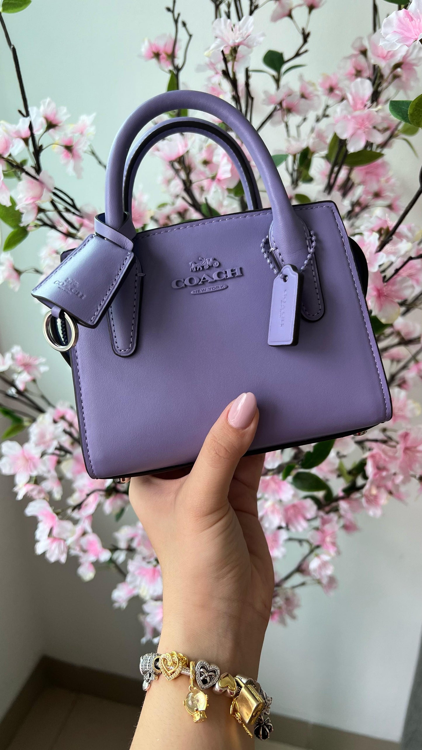 Micro Andrea Bolsa Miniatura Morada con Cross Body