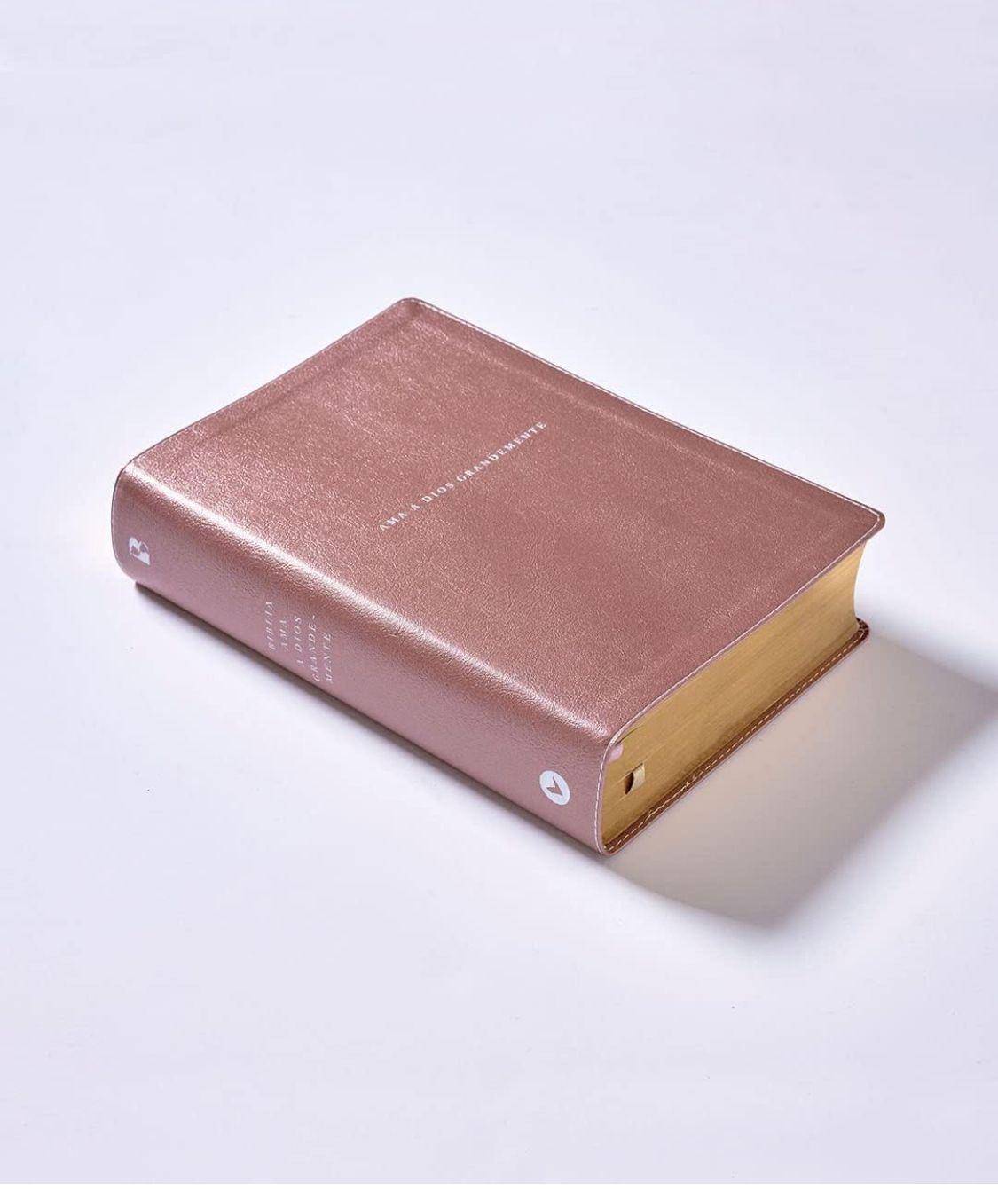 Biblia Ama a Dios Grandemente